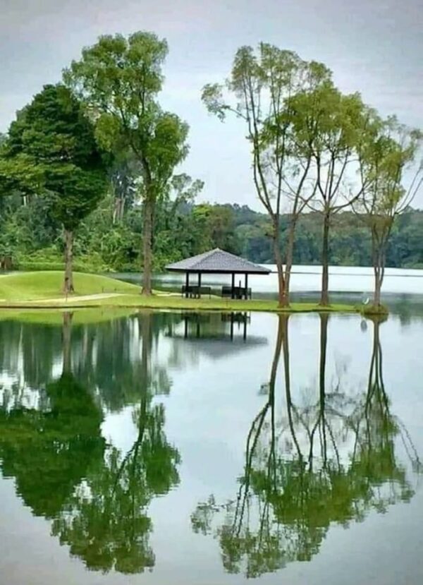 3D photography